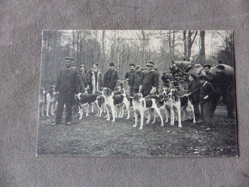 Cpa chasse courre en - cpa,