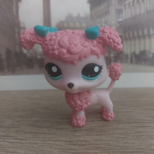 Petshop chien caniche rose - petshop,
