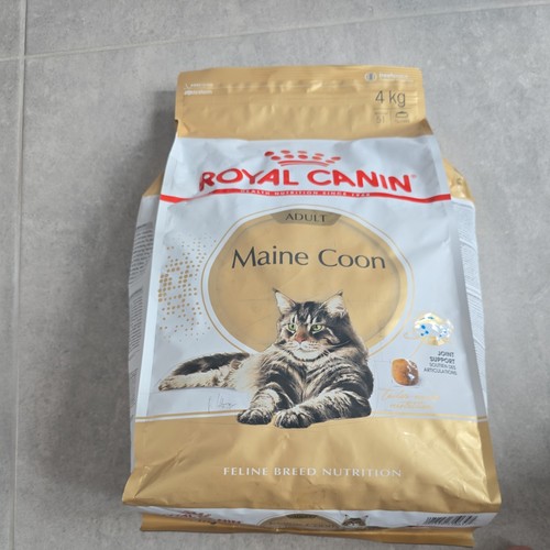 Croquettes maine coon adulte - croquettes,