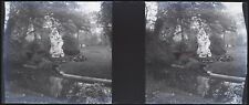 Paris Sculpture Garden Photo Glass Plate NEGATIVE Stereo Vintage c 1900