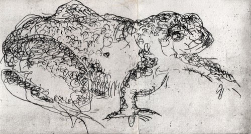 Jean henri fabre crapaud - crapaud, /