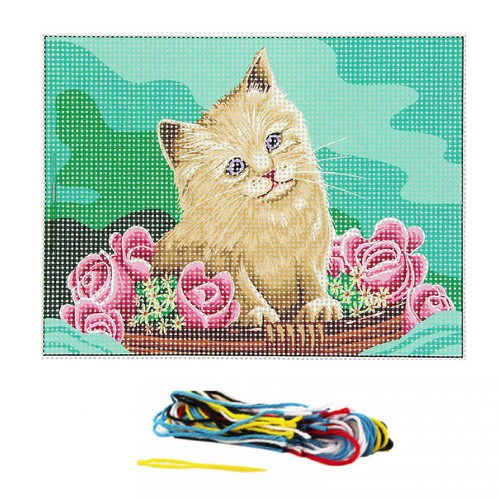 Kit complet canevas - , x