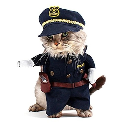 Costume pour chat - , et