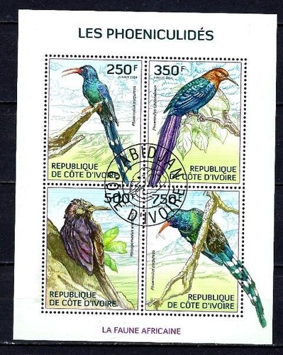 Animaux oiseaux côte - animaux,