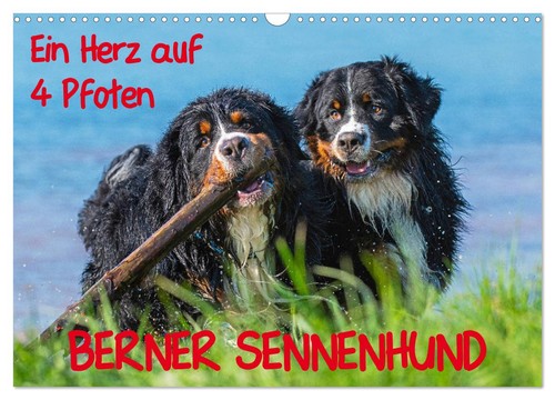 Calendrier 2027 french - ·,