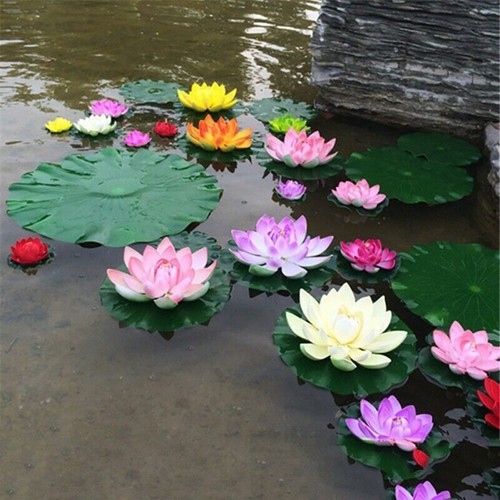 Plantes étang fleurs - d'étang,