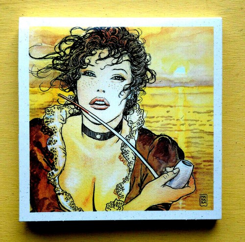 Pochette cartes et - bd,