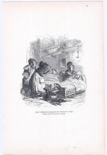Animaux savants granville 1842 - animaux,