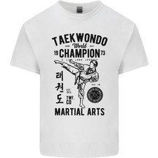Taekwondo World Champion Arts