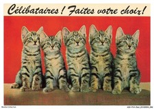 ASVP14-1072-CHAT - Bengal - Singles Make Your Choice