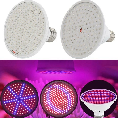 Ampoule culture lampe de - ampoule,