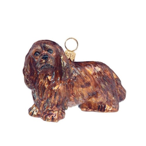 Ruby cavalier king - ruby,