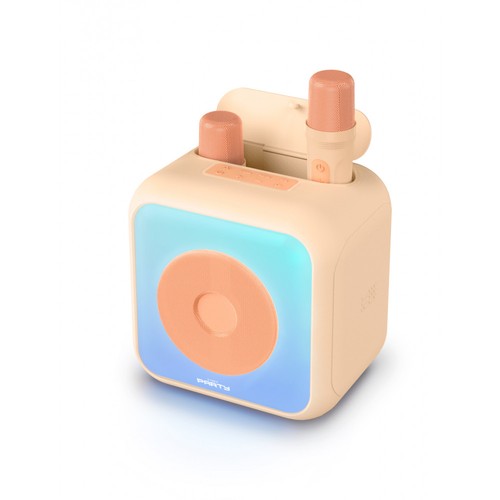 Enceinte karaoke avec micros - enceinte,