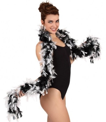 Boa plumes noir blanc - plumes,
