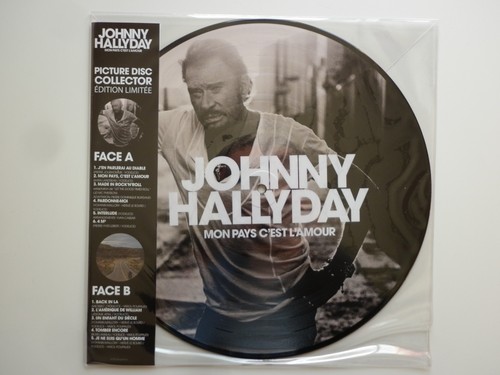 Johnny hallyday 33tours vinyle - johnny,
