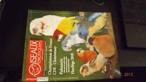 Revue cde oiseaux - gc,