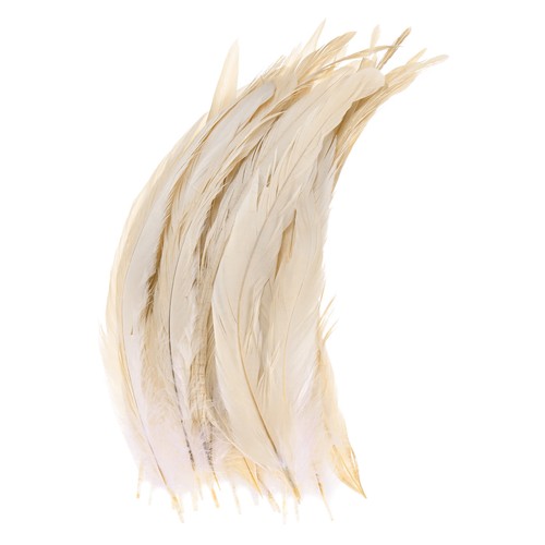 Plumes naturelles blanches - 20,