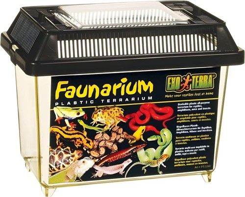 Terrarium reptile amphibien - terrarium,