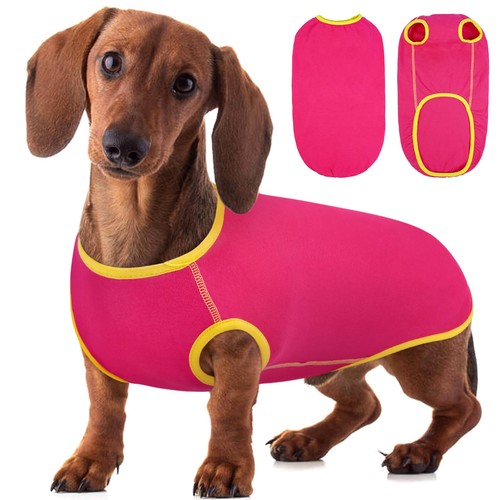 Pull chien teckel sweat - pull,