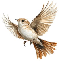 2 x autocollants autocollants