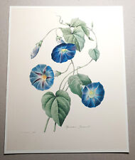 ANTIQUE ENGRAVING - EDUCATIONAL BOARD - THE BLUE HYPOMÉE BY PIERRE-JOSEPH DREADED