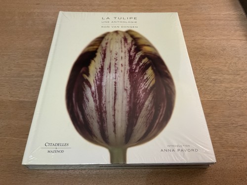 Ron van dongen - van, tulipe