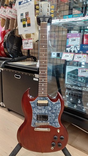 Gibson tribute natural - sg,