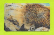 Carte Cora / Match - N°28/44