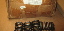 6 pieces Ford D0OZ-6513-B valve springs 1970 Mustang 302, 5.0L. 1970-2001 302