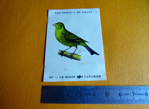 Chromo 1939 casino les - casino,