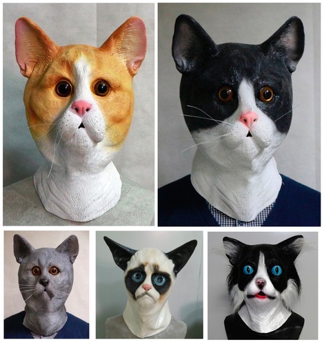 Masque chat latex - chat, en