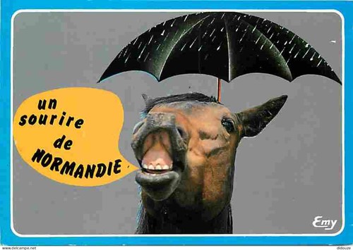 Postcard animals horses - horses,