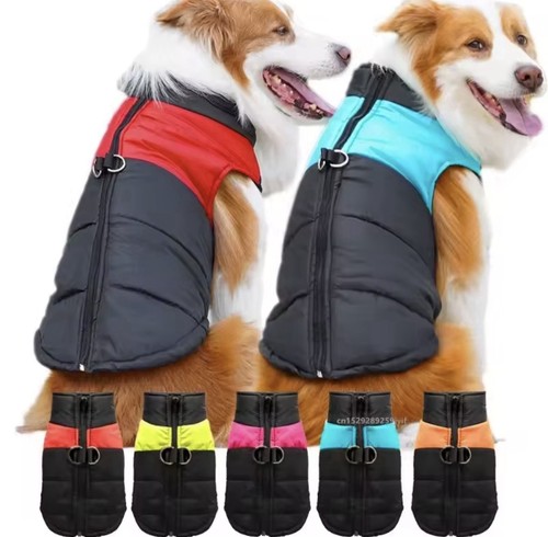 Manteau chien imperméable - manteau,