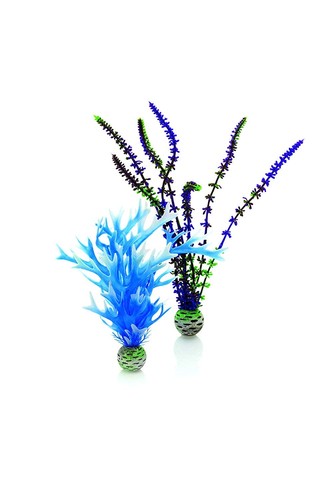 Jeu plantes bleu et - de,