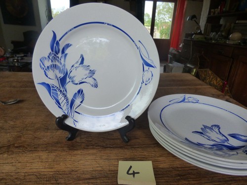 Lot assiettes plates - assiettes,