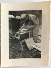 OLD PHOTO - VINTAGE SNAPSHOT - BEEKEEPING HONEY BEE BEE - BEEKEEPING 2