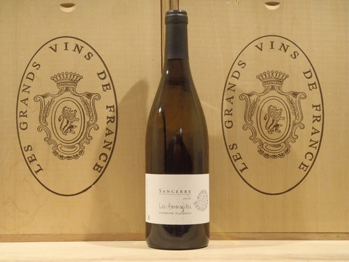 Sancerre les ammonites 2016 - ammonites,