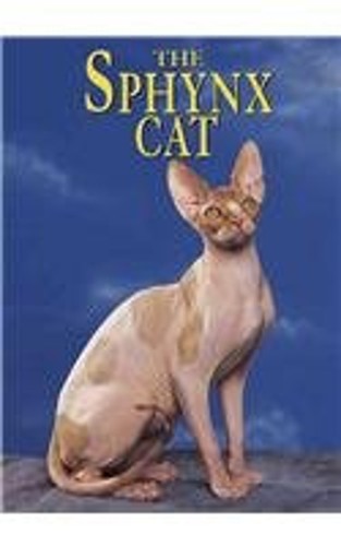 The sphynx cat hardcover - sphynx,