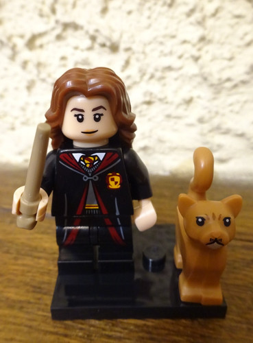 Lego harry potter - harry, série