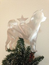 Japanese Spitz Dog, Dog