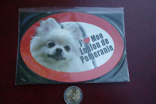 GRAND MAGNET CHIEN  / LOULOU POMERANIE * 14,8 CM X 10 CM *