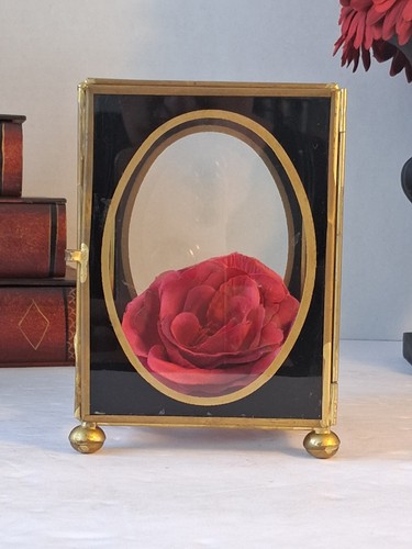 Vtg brass glass - brass/glass, display