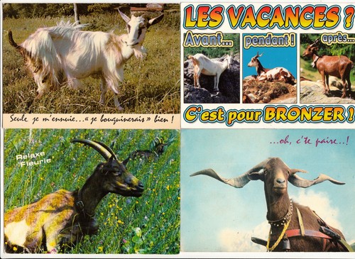 Lot cartes postales - 4,
