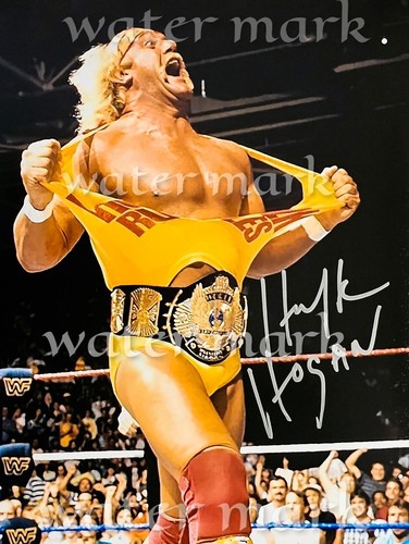 Hulk hogan lutteur américain - hulk,