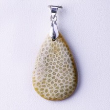 ★☆ CORAIL FOSSILE 23,40 CT - Pendentif argent - A24-156* ☆★