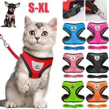 Harnais laisse pour - pour, chat