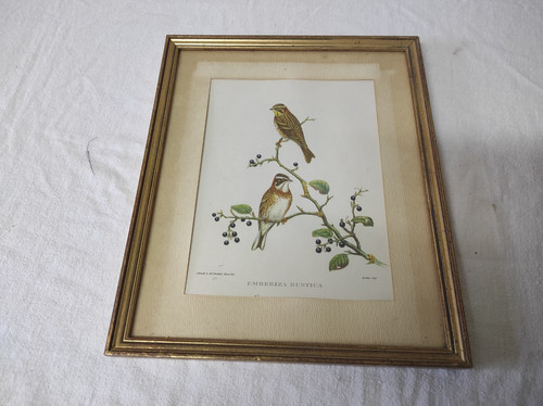 Cadre 29x23 5cm - cadre, 29x23,5cm