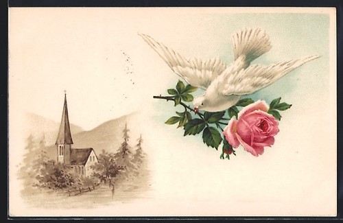 Carte postale colombe blanche - carte,