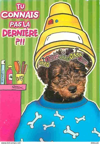 Carte postale animaux - animaux,