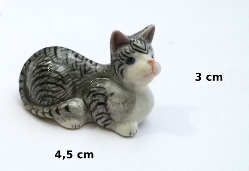 Chat miniature - chat, en